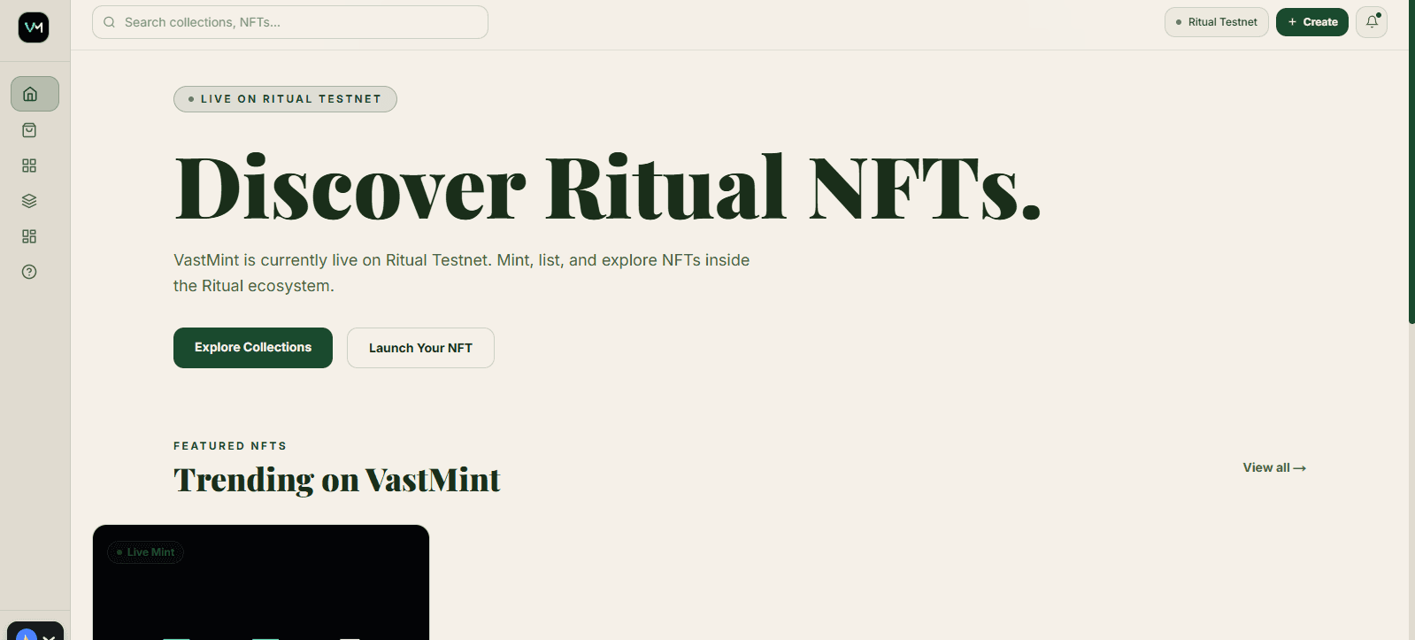 VastMint project interface